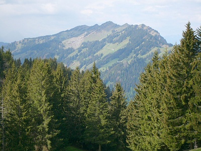 Gipfelaussicht vom Farneren (1572,3m) zum Beichle (1769,6m).