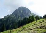 Paragliding Fluggebiet Europa » Schweiz » Schwyz,Roggenstock,Blick hoch zum Roggenstock. Jetzt wird es richtig steil...