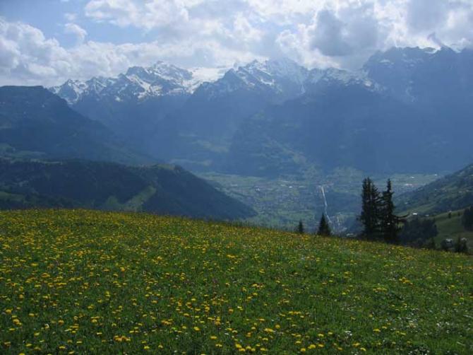 Startplatz Biel:
in der Vegetationszeit unbedingt eine gem�hte oder abgegrasste Wiese benutzen und den Bauern fragen!