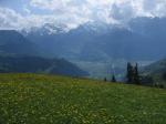 Paragliding Fluggebiet Europa » Schweiz » Uri,Schön Chulm,Startplatz Biel:
in der Vegetationszeit unbedingt eine gemähte oder abgegrasste Wiese benutzen und den Bauern fragen!