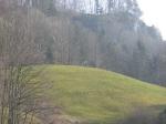 Paragliding Fluggebiet Europa » Schweiz » Glarus,Kerenzerberg,Startplatz Kerenzerberg, von der Kerenzerstrasse aus photografiert. Aufw�rts geht es den gelben Pfl�cken entlang.