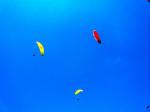 Paragliding Fluggebiet Europa » Deutschland » Bayern,Hochries,Und drehen und drehen... Super ;-)