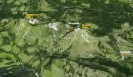 Paragliding Fluggebiet Europa » Schweiz » Fribourg,La Vudalla,Gebiets�bersicht