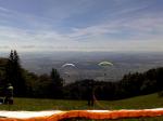 Paragliding Fluggebiet Europa » Schweiz » Solothurn,Weissenstein,Wenn die Bedingungen am Startplatz schwierig sind (Westeinfluss), es einzelne Piloten schon beinahe in die B�ume haut und das als Herausforderung noch nicht reicht, dann einfach unkoordiniert zu zweit starten, Klapper kassieren, beinahe kollidieren und knapp rechts am Baum vorbeischiessen ...