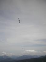 Paragliding Fluggebiet Europa » �sterreich » Tirol,Unterberghorn,... Er zentriert immer noch!!!
