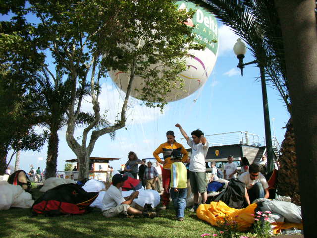 Die portugiesische Nationalmannschaft beim Workshop auf Madeira, Schirmpacken unter Palmen, im Windschatten des Fesselballons, direkt am Yachthafen von Funchal