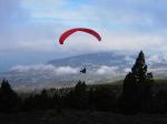 Paragliding Fluggebiet Europa » Spanien » Kanarische Inseln,la Palma - Pico de Birigoyo, el Gallo (1300),Flug �ber La Palma im M�rz 2005