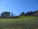 Paragliding Fluggebiet Europa » Schweiz » Zürich,Pfannenstiel,Blick vom Landeplatz in Richtung unterer Startplatz. Man fliegt durch die Schneise.
Die Hochwacht liegt weiter oben und hinten.