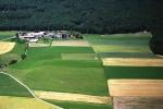 Paragliding Fluggebiet Europa » Schweiz » Neuchatel,La Roche-Devant,Landeplatz