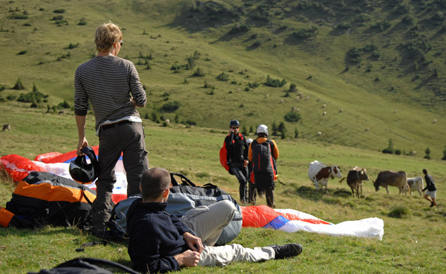 Abendsoaring am Palfries
(C) Airpole