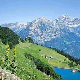 Panorama Br�sti