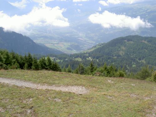 (C) DGCHD: Feldis Mutta