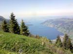 Paragliding Fluggebiet Europa » Schweiz » Schwyz,Rigi,Blick vom Startplatz Scheidegg Richtung Zuger See. (30.05.2009)