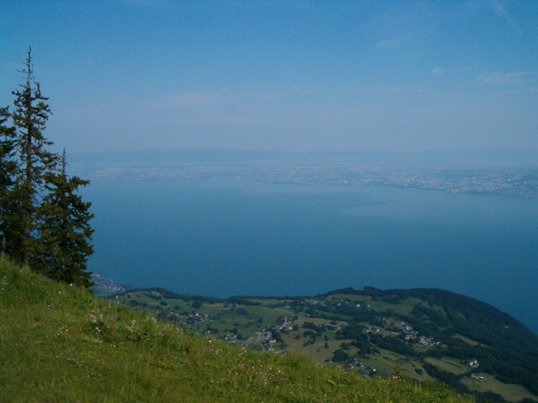 Blick auf den See vom Startplatz aus