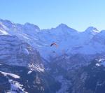 Paragliding Fluggebiet Europa » Schweiz » Bern,Männlichen - Tschuggen,No comment... einfach ein geiles Panorama. Winterflug.