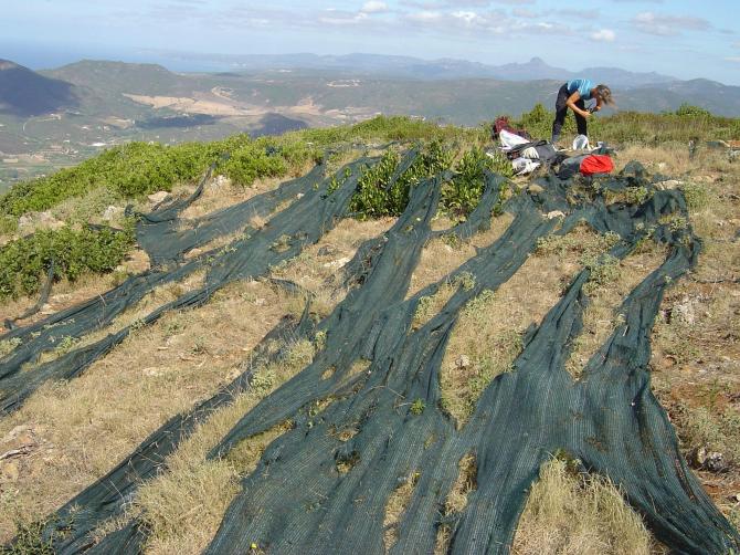 Der Startplatz von Buggeru am 10. Oktober 2012. Eine Gartenschere wäre hilfreich gewesen ;-)