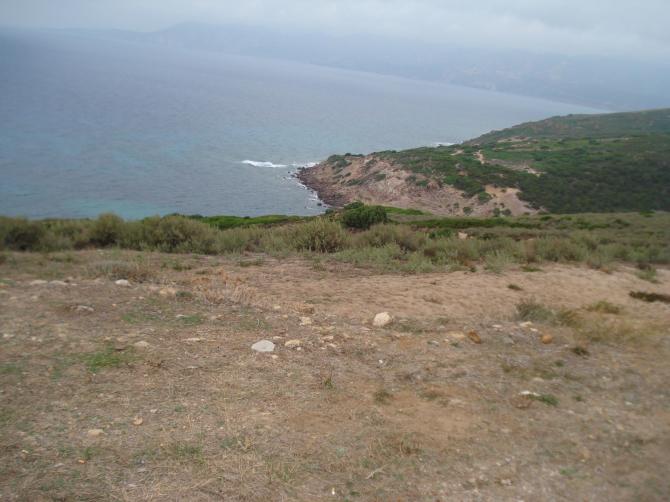 ....und etwas viele Sträucher..