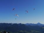 Paragliding Fluggebiet Europa » Deutschland » Bayern,Brauneck,
