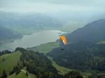 Paragliding Fluggebiet Europa » Schweiz » Schwyz,Hummel,So fällte ich dann die Entscheidung wieder einmal auf den Hummel hoch zu laufen - normalerweise geht das fliegerisch. So war dann auch das grosse Leiden angesagt. Nun rauche ich seit fast einem Jahr nicht mehr, doch es geht nicht ringer auf der Lunge ... 

Nach meinem Kampf gelang ich oben an. Der Aufstieg war sumpfig und glitschig und ....