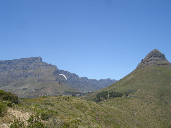 Signal Hill mit Blick auf dem Lions Head. Hier ist der Hang zum soaren.