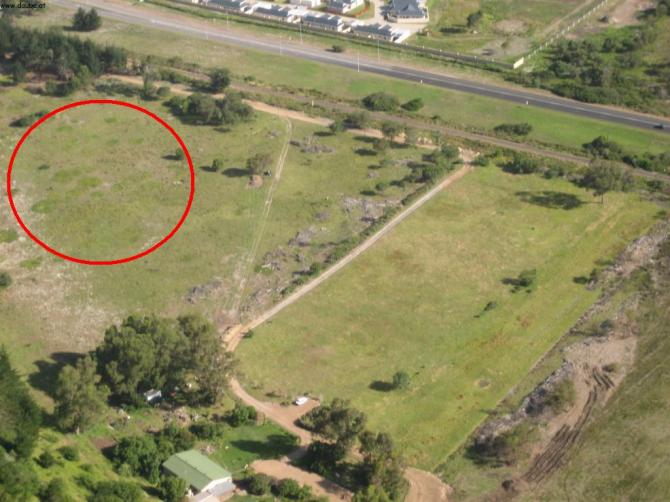 LP - habe ich leider nur richtig von oben gesehen
12/2006