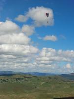 Paragliding Fluggebiet Afrika » Südafrika,Winston Park,