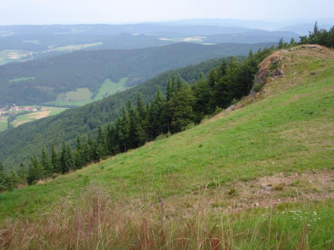 blick vom startplatz richtung landeplatz
