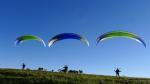 Paragliding Fluggebiet Afrika » Südafrika,Bulwer 1000,