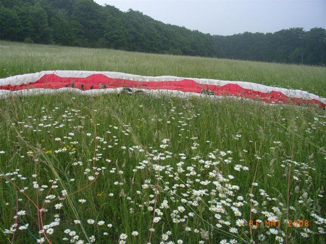 auf der waldkante fliegen wir bei westeinschlag