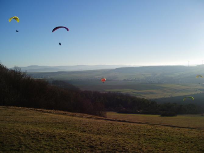 16.01. 2005 eine ungewöhnliche Begegnung am Harsberg.
Alles ist möglich.

Dank an Claudia  für die Aufnahme.