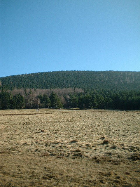 Der Berg von der Landewiese.