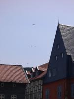 Paragliding Fluggebiet Europa » Deutschland » Niedersachsen,Rammelsberg,Rammelsberg von der Stadt.