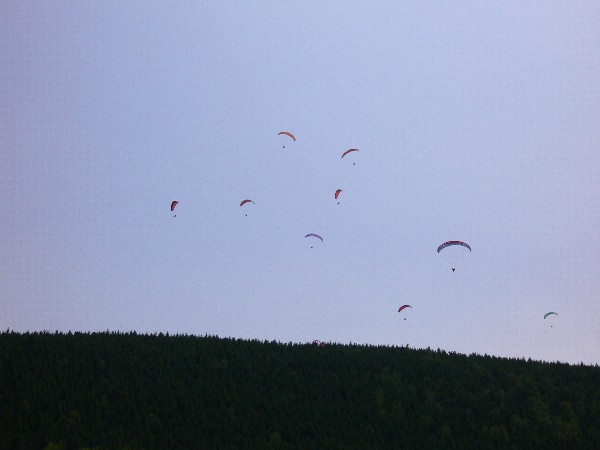 Hier fliegt man selten alleine.