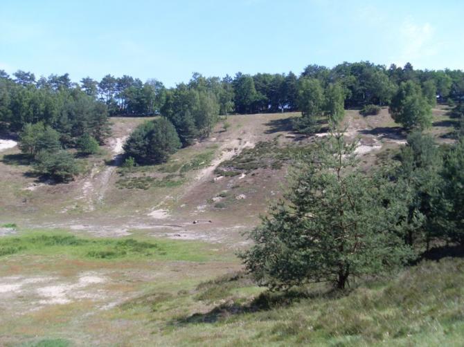 Startplatz von unten