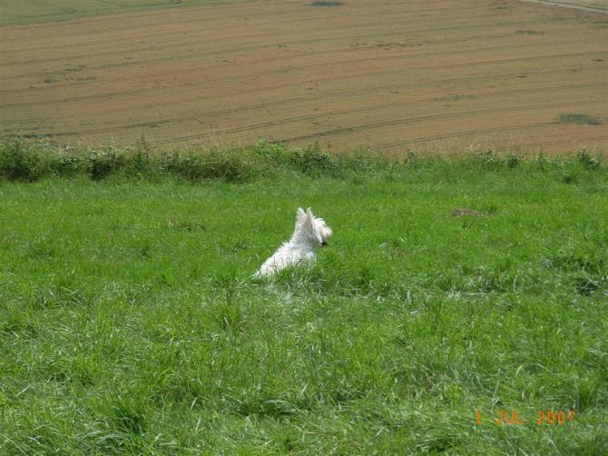 das ist der tagesmitgliedschaftsentwerter, er ist sehr gefährlich und beisst jeden in den grossen zeh der nicht bezahlt