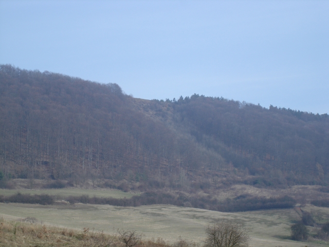 Startschneise,hier ging ehemals einer der Grenzzäune hoch.