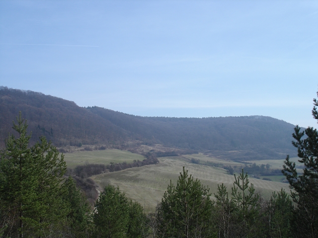 Schneise ist halb links zu erkennen.Links davon Osthang,rechts gehts eher um Süd.Allerdings gibts für Südwind bessere Gelände.