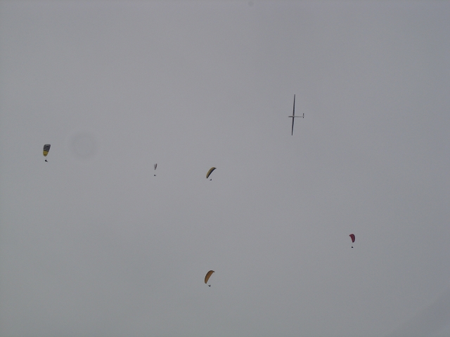 Besuch vom Stauffenbühl Segelfluplatz.DAS ist Streckung!