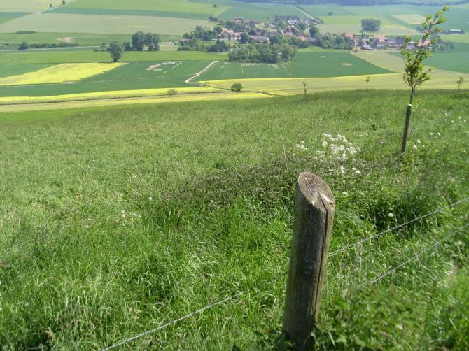 Der Stacheldraht hat schon ein paar Schirme gefressen. Vorsicht.