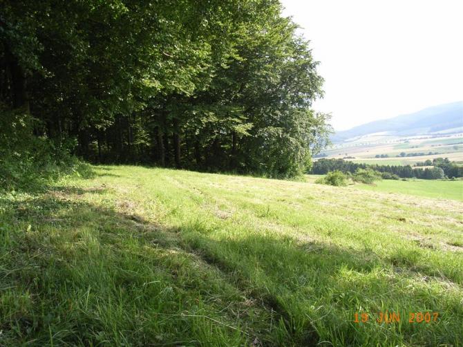 die linke na ja hätte ja mal aufstehen können, um ein foto von der ganzen seite zu machen