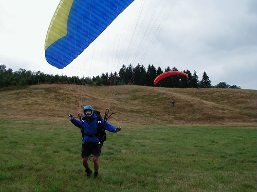 Der Hang von der Landewiese aus gesehen. Der Startplatz liegt direkt vor den Tannen.
24. 8. 2003
