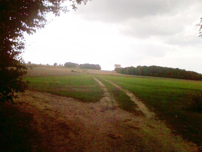 Blick über das Schleppgelände von NO nach SW