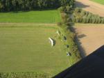 Paragliding Fluggebiet Europa » Deutschland » Nordrhein-Westfalen,Warendorf Freckenhorst,Foto: active zone ©
Nach einem schönen Flug wieder zurück am Gelände...