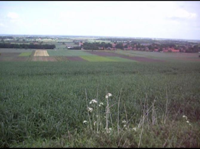 Frühling in Brockum.