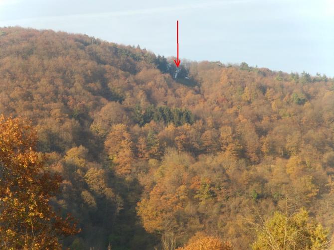 Hönningen Südstart
November 2013