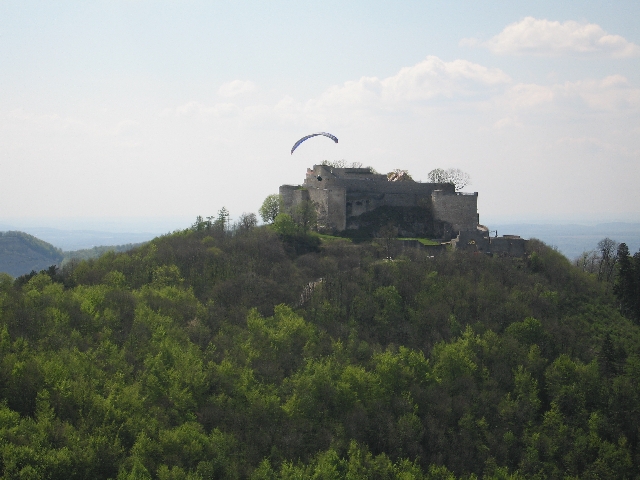3.05.2008 nur die Besten ins Töpfchen