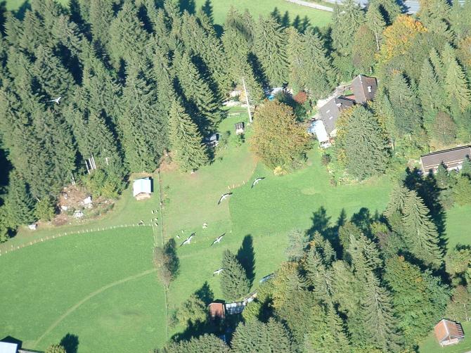So etwas sieht man sehr selten, eine Schar verspäteter Störche auf der suche nach der Thermik. Aufgenommen nach dem Start am Osterfelder beim Anflug zum Landeplatz.