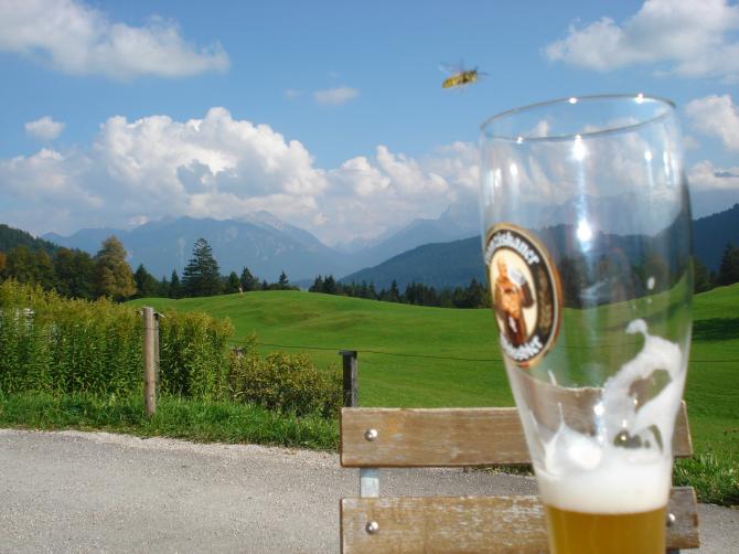 Landeplatz Gschwandnerbauer, mit Weißbier und Hornisse.