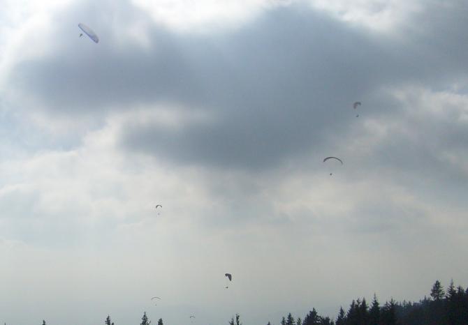 Erster "Wuselflug" 2008 am Schöckl. Links oben spiralt grad einer, ratet mal wer!