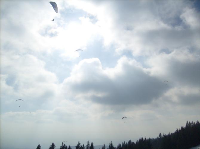 Who´s on top? GRADIENT!